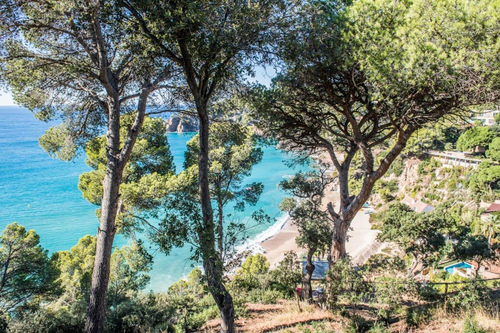 Camping Sunissim Cala Llevado 4 By Locatour Hotel Tossa de Mar Kültér fotó